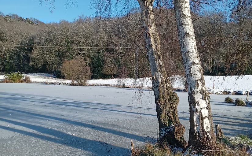 Rotthäuser Bachtal
